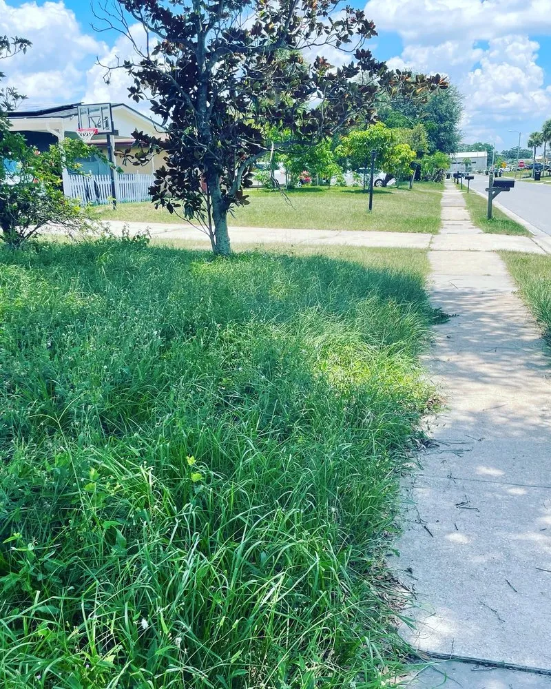 Affordable yard cleanup service in Orlando, FL - Jeryel’s Landscaping