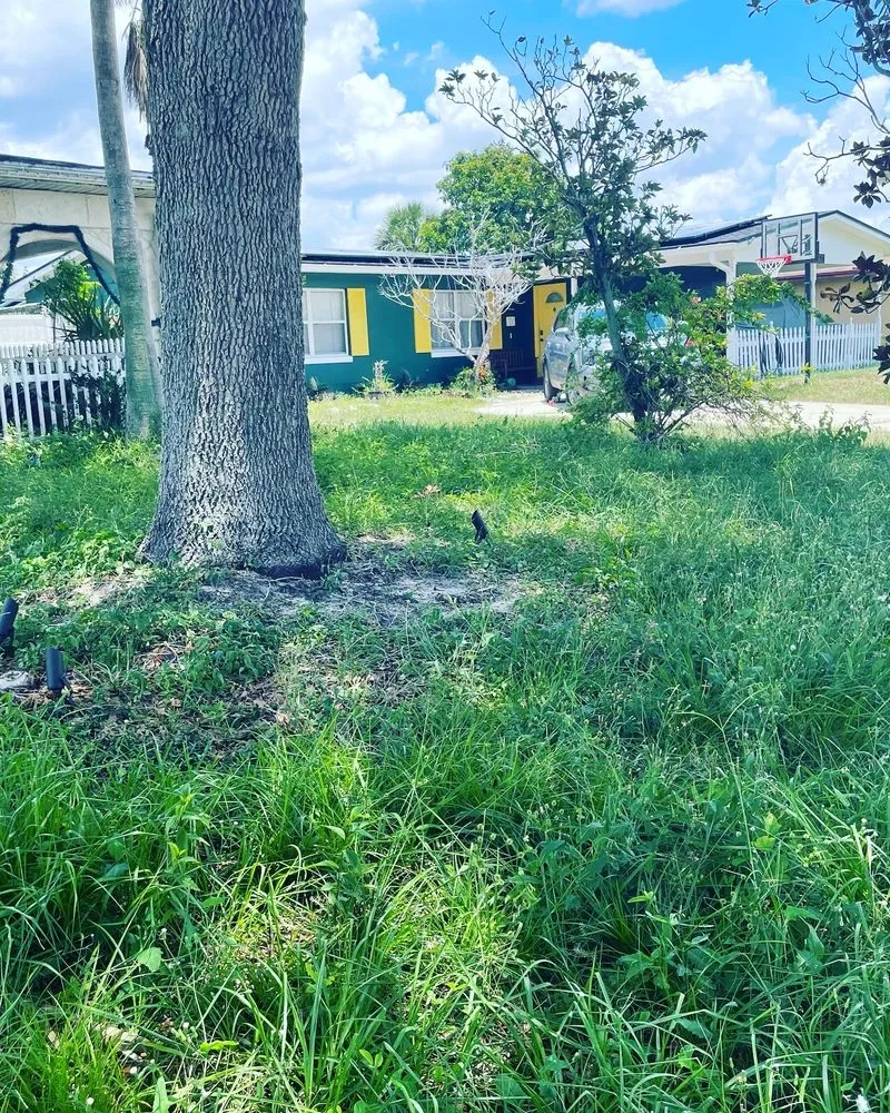 Expert landscape installation in Orlando, FL by Jeryel’s Landscaping