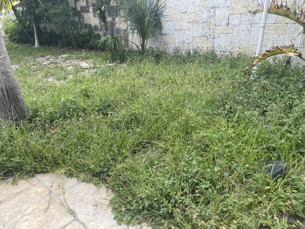 Trusted lawn care service in Orlando, FL by Jeryel’s Landscaping