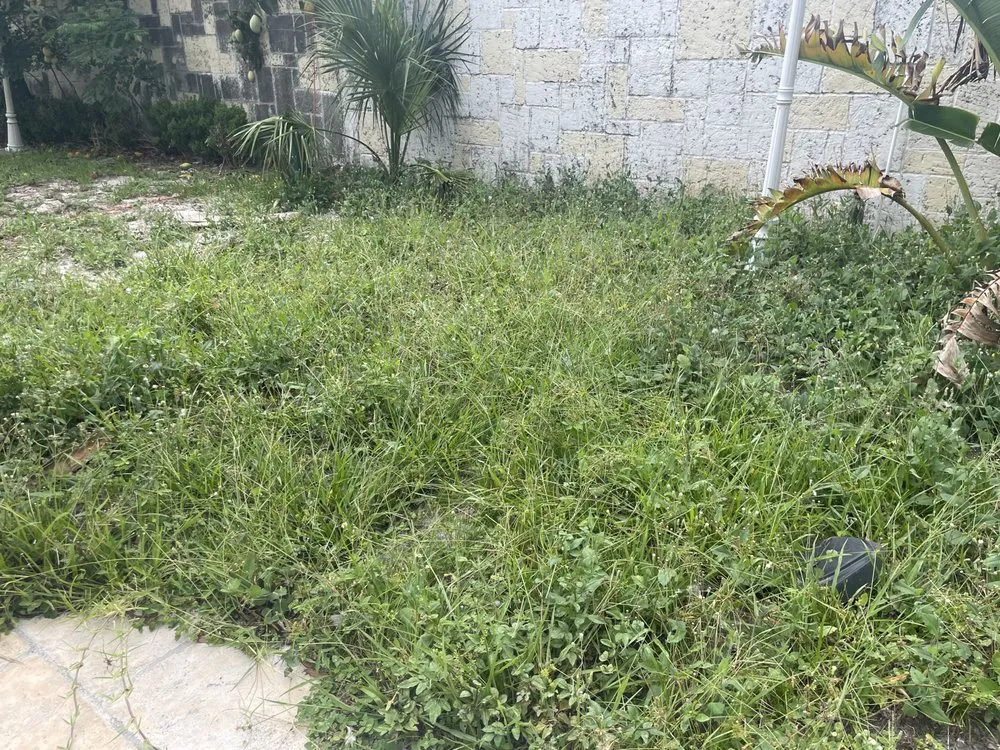 Local landscape installation for residential properties in Orlando, FL by Jeryel’s Landscaping