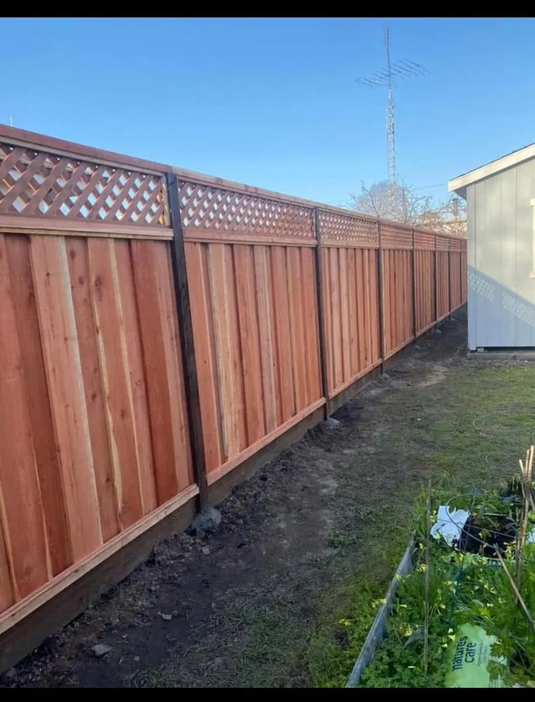 Expert outdoor landscaping for year-round maintenance in Newark, CA by JES Concrete & Fence