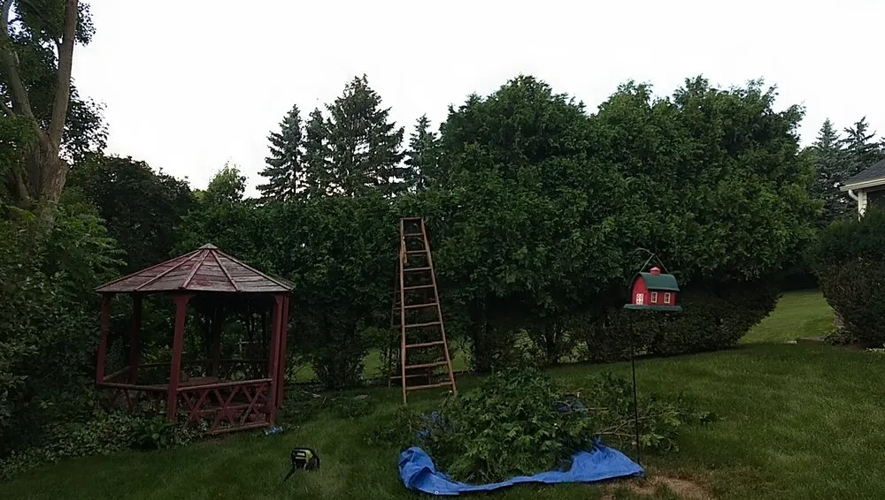 Custom yard maintenance for beautiful yards across Kirkville, NY - Jesmer Services