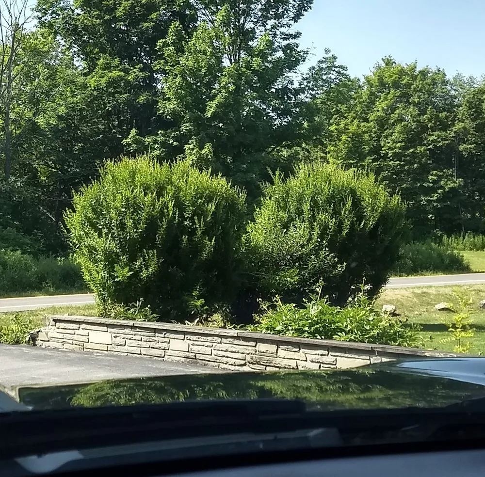 Expert residential landscaping for homes across Kirkville, NY - Jesmer Services