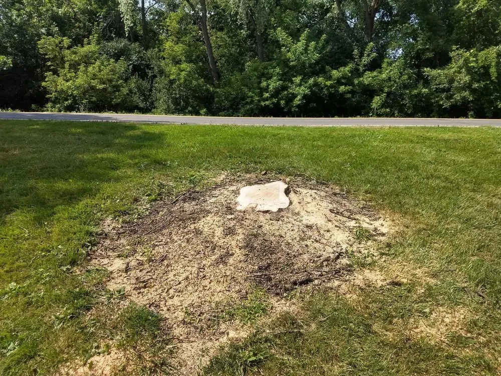 Top-rated lawn mowing service in Kirkville, NY - Jesmer Services