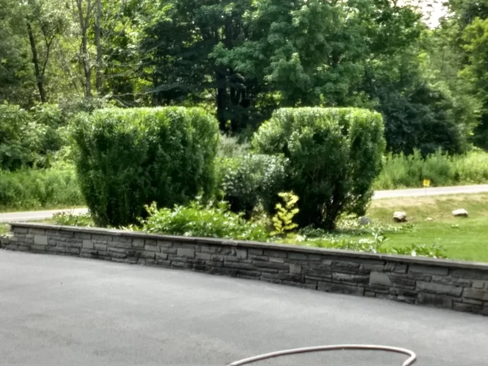 Affordable landscape design for year-round maintenance across Kirkville, NY - Jesmer Services