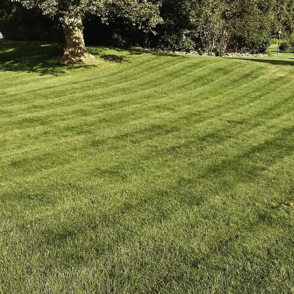 Local outdoor landscaping near you in Kirkville, NY by Jesmer Services