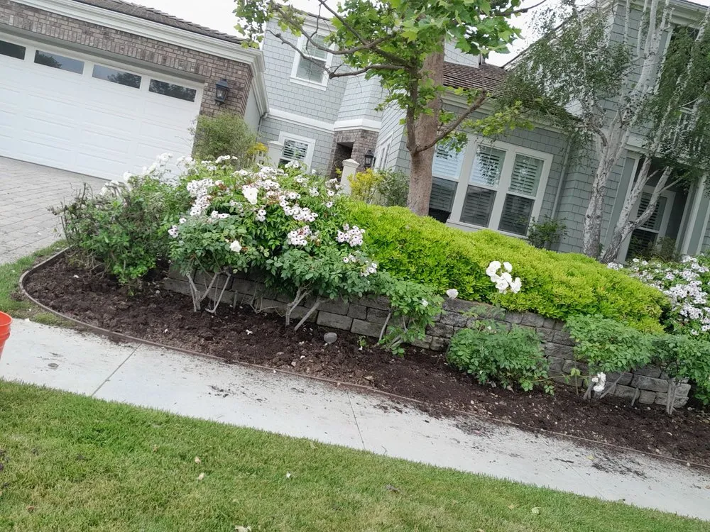 Affordable lawn mowing service in West Hills, CA - Jesús Landscaping
