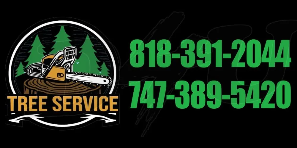 Top-rated residential landscaping in West Hills, CA - Jesús Landscaping