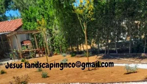 Jesús Landscaping