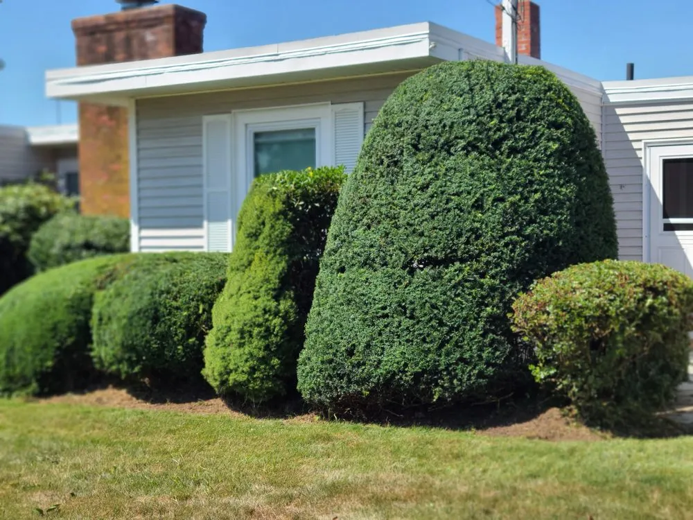 Custom lawn mowing service for residential properties across East Providence, RI - Jesse & Son Lawn Services