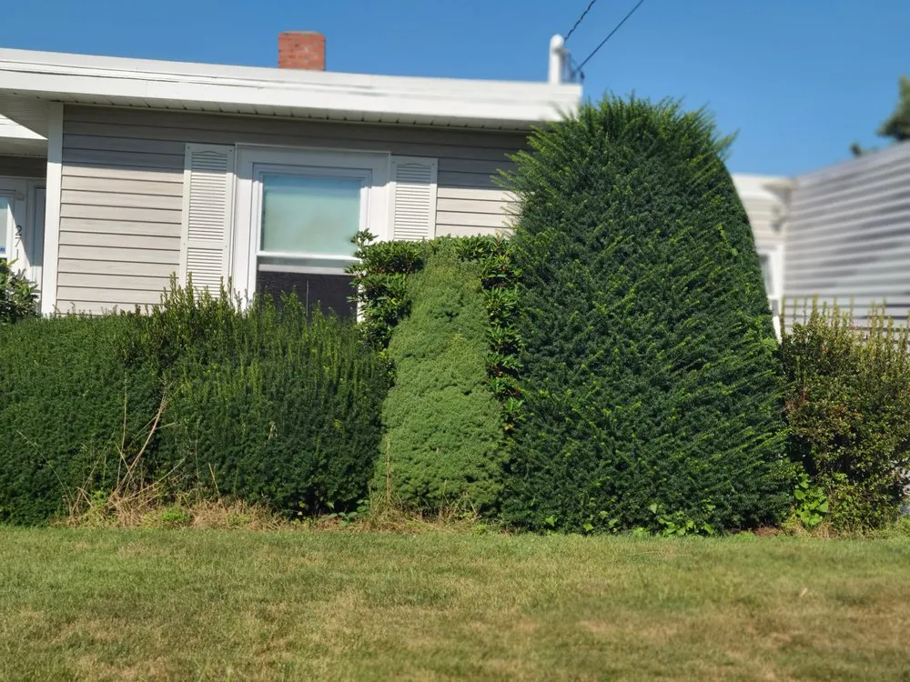 Expert garden landscaping with custom design in East Providence, RI by Jesse & Son Lawn Services