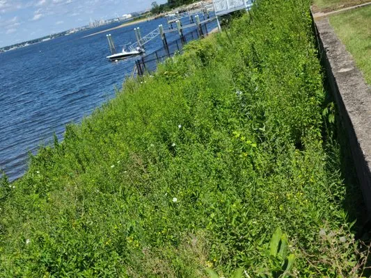 Jesse & Son Lawn Services Logo