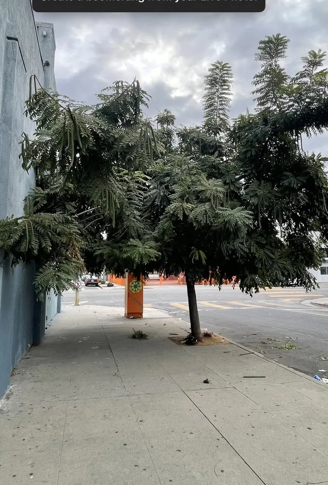 Local landscape installation in Azusa, CA - Jesse & Sons Landscape Design