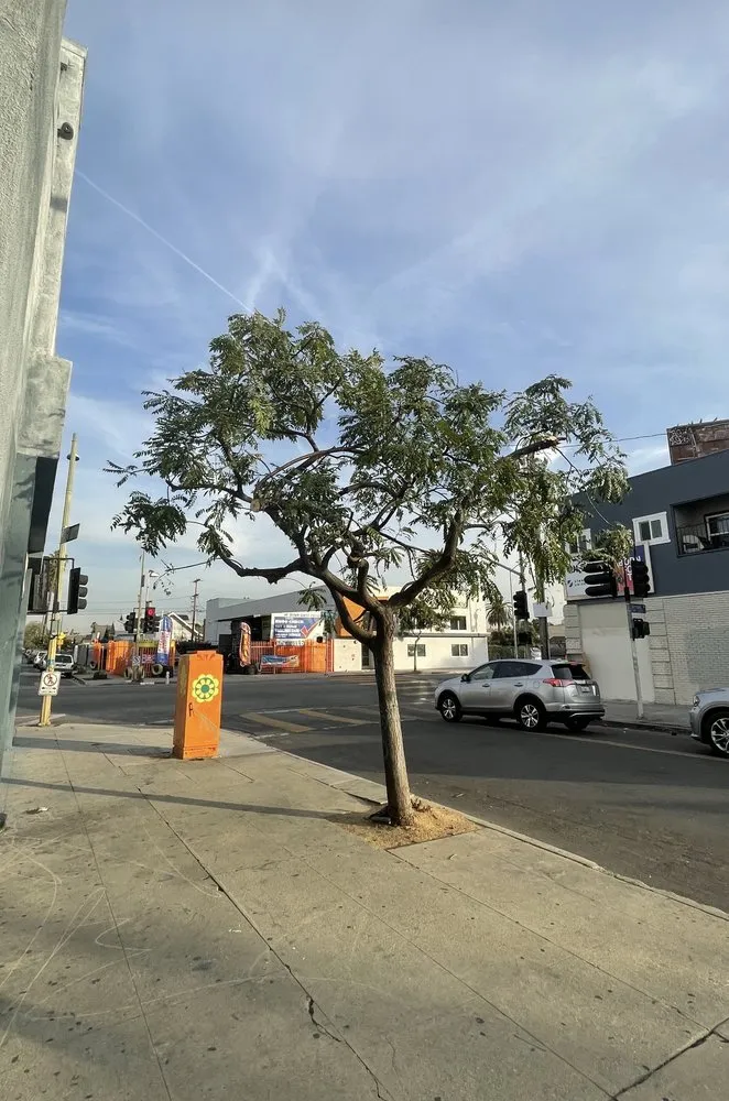 Expert lawn care service with custom design in Azusa, CA by Jesse & Sons Landscape Design