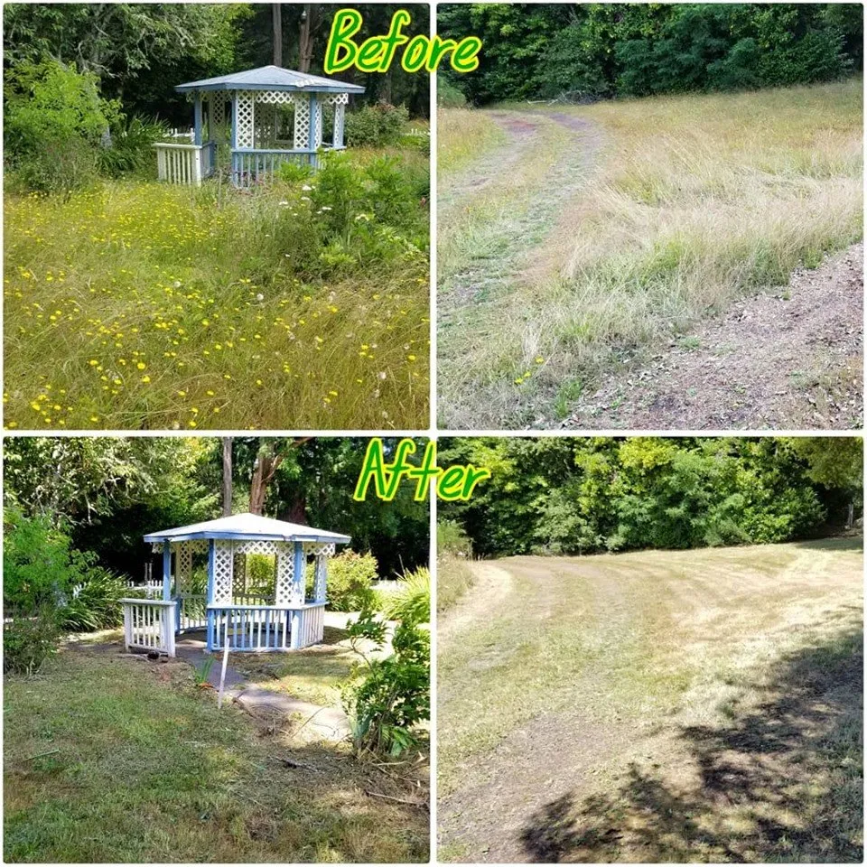 Trusted lawn care service in Mapleton, OR by Jesse Butler Yard Care