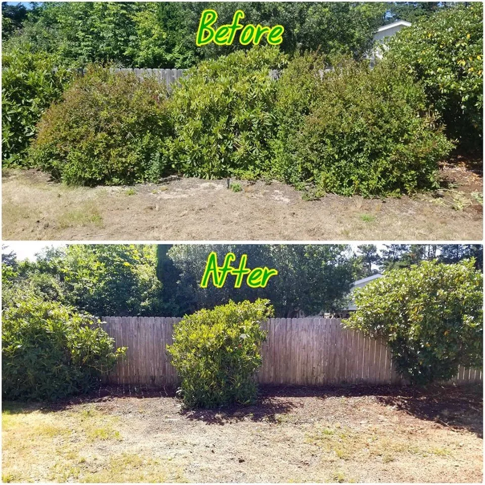 Affordable landscape design in Mapleton, OR - Jesse Butler Yard Care