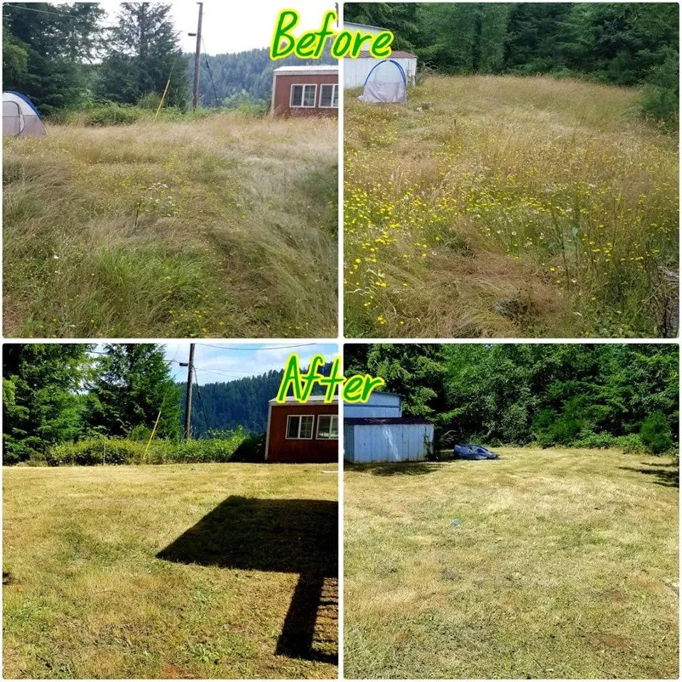 Top-rated yard cleanup service with custom design in Mapleton, OR by Jesse Butler Yard Care