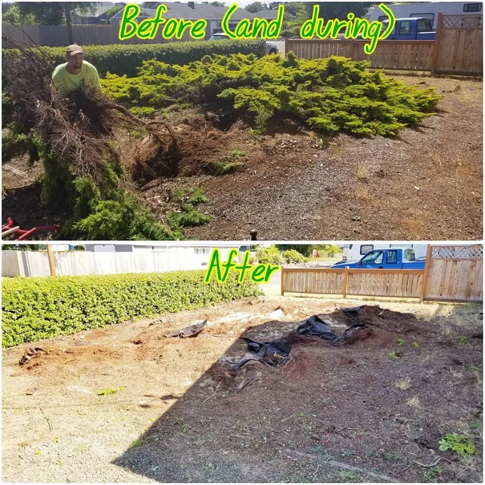 Expert residential landscaping with custom design across Mapleton, OR - Jesse Butler Yard Care