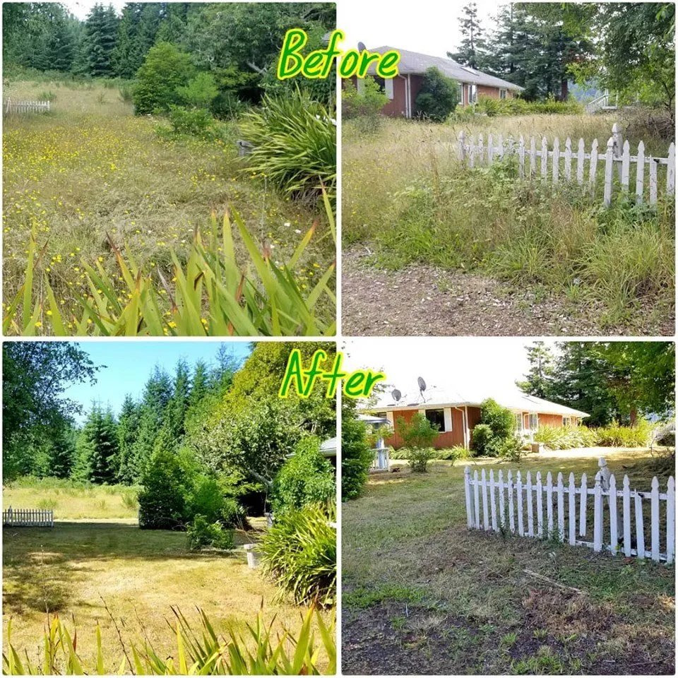 Reliable lawn mowing service experts serving Mapleton, OR - Jesse Butler Yard Care