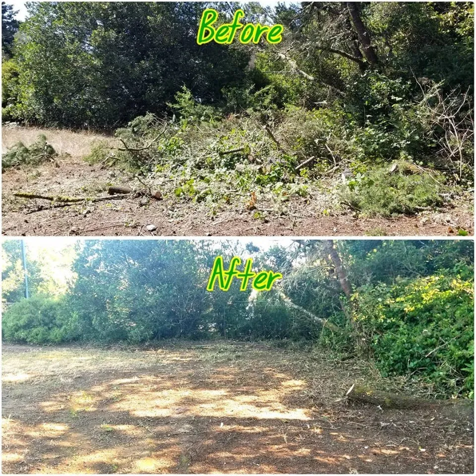 Professional garden landscaping experts serving Mapleton, OR - Jesse Butler Yard Care