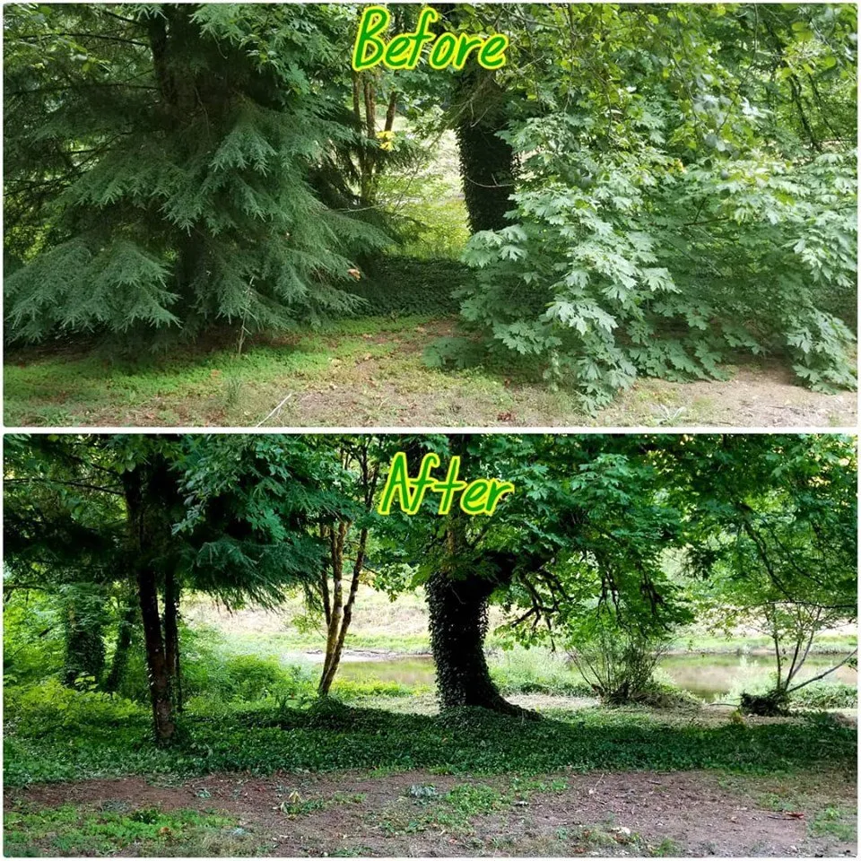 Custom garden landscaping for homes in Mapleton, OR by Jesse Butler Yard Care