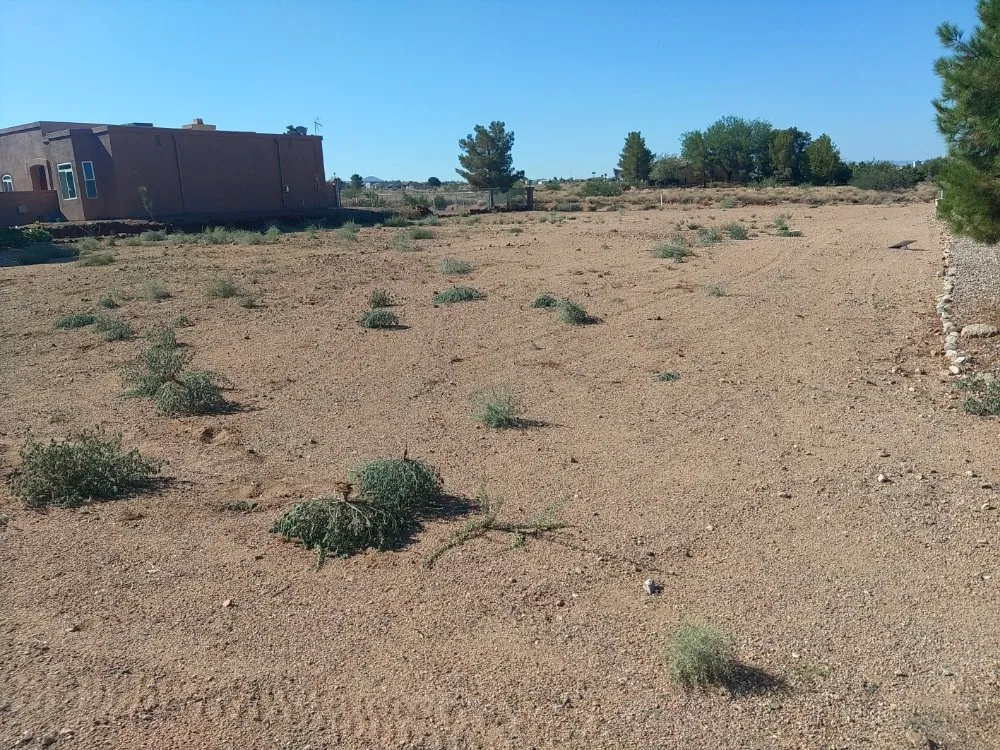 Trusted yard cleanup service in Kingman, AZ - Jesse Franzen Handyman Painting and Yard Maintenance