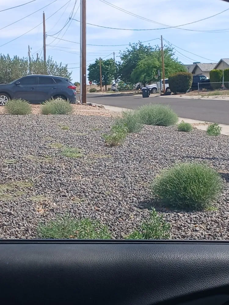 Professional yard cleanup service in Kingman, AZ - Jesse Franzen Handyman Painting and Yard Maintenance