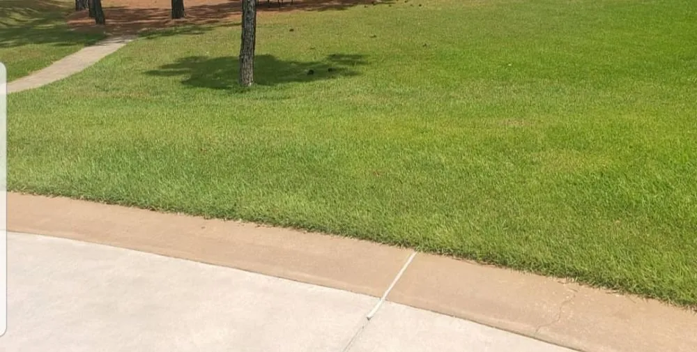 Custom lawn mowing service near you across Columbia, SC - Jesse Multi Services