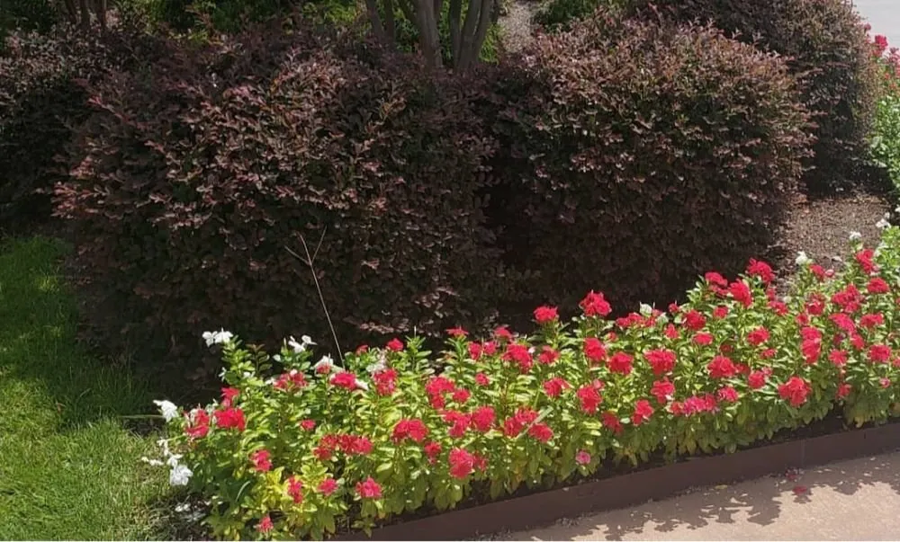 Reliable yard maintenance for residential properties in Columbia, SC by Jesse Multi Services