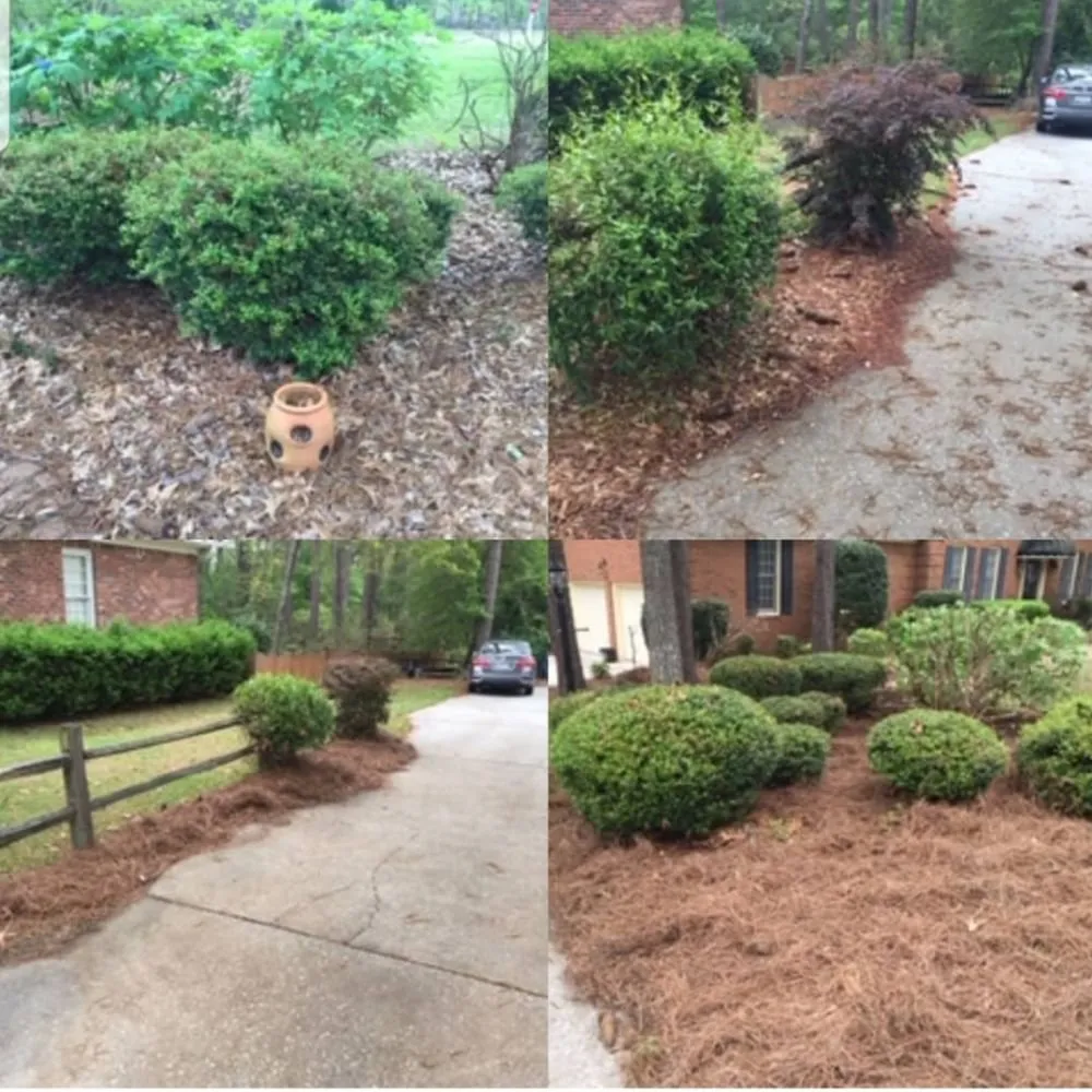 Expert yard cleanup service experts serving Columbia, SC - Jesse Multi Services