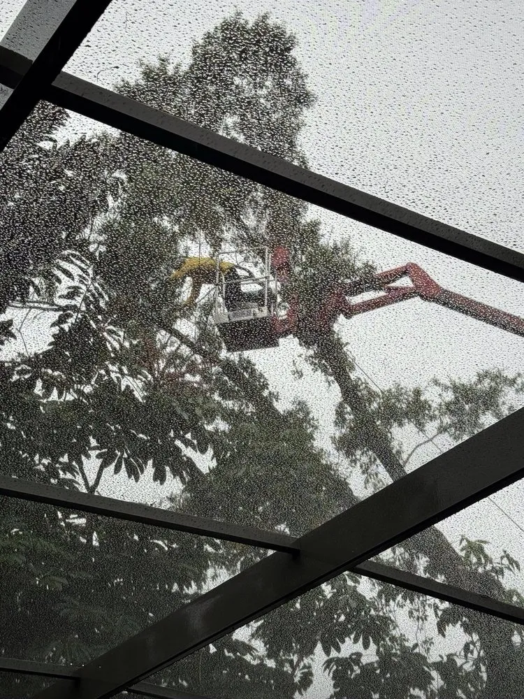 Professional landscape installation in Orlando, FL - Jesse Scotts Tree Service