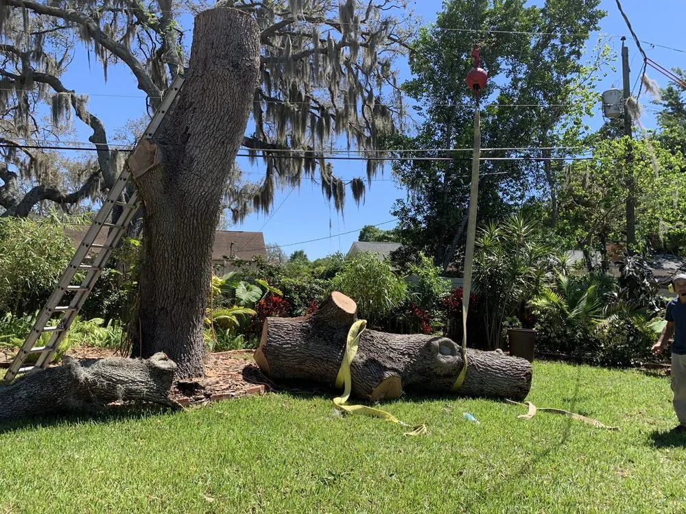 Custom lawn care service in Orlando, FL by Jesse Scotts Tree Service