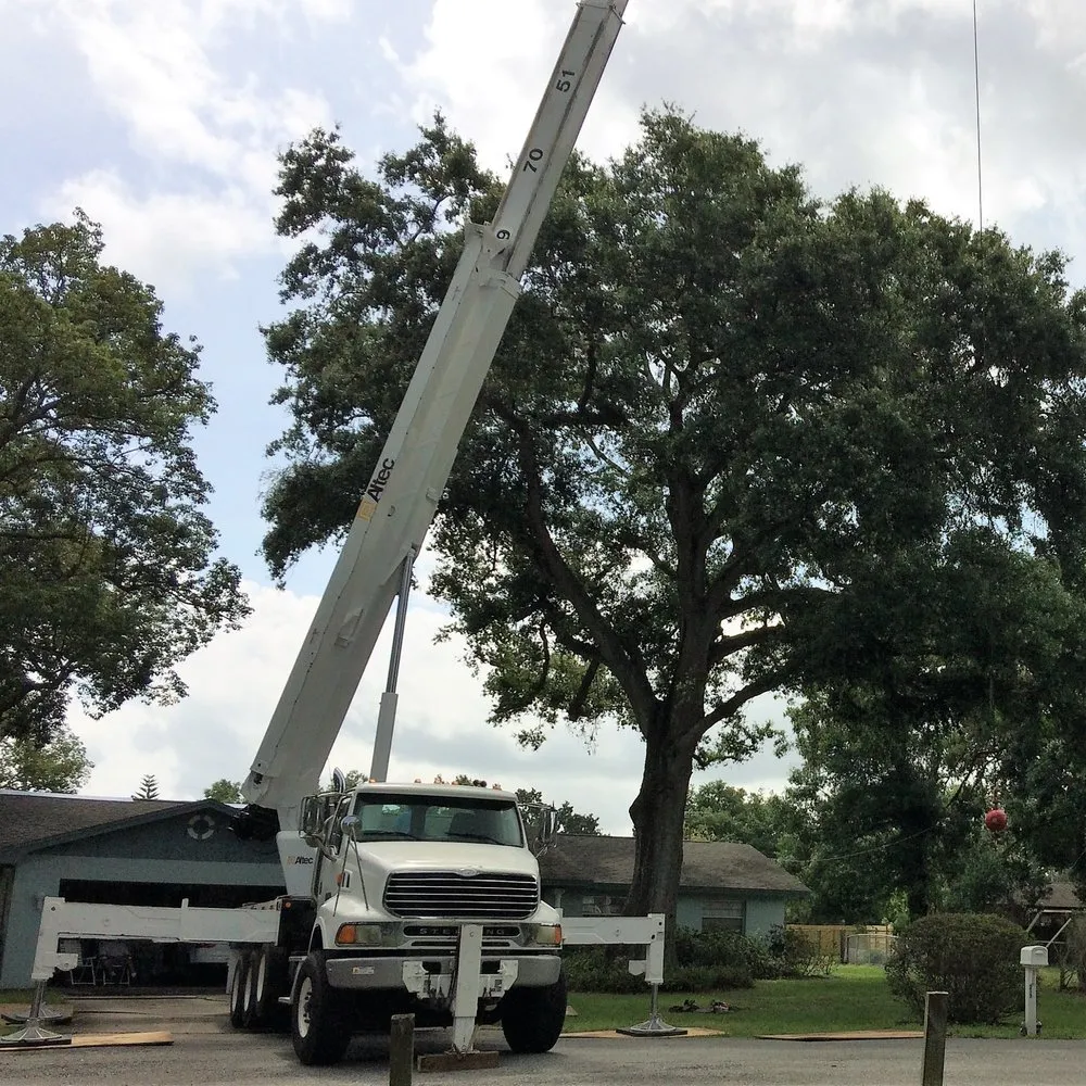 Affordable landscape design for homes in Orlando, FL by Jesse Scotts Tree Service