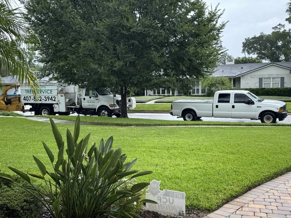 Trusted landscape design with custom design across Orlando, FL - Jesse Scotts Tree Service