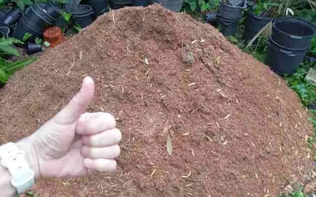 Custom lawn care service in Orlando, FL by Jesse Scotts Tree Service