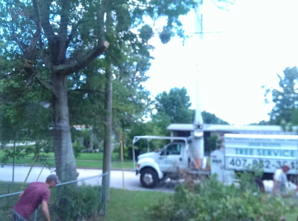 Professional yard cleanup service for residential properties across Orlando, FL - Jesse Scotts Tree Service