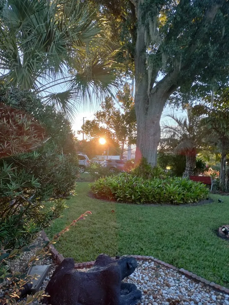 Trusted yard maintenance in Orlando, FL by Jesse Scotts Tree Service