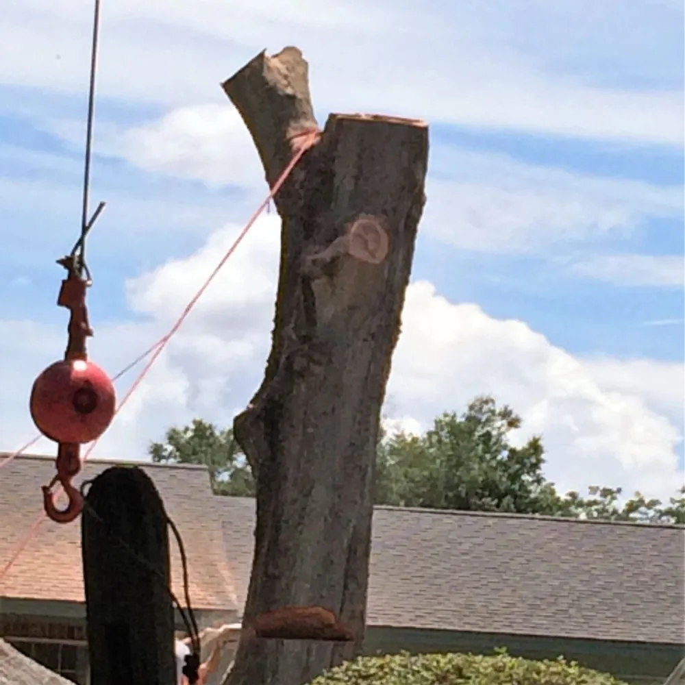 Expert landscape installation experts serving Orlando, FL - Jesse Scotts Tree Service