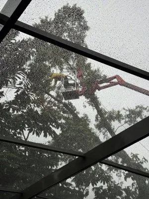 Jesse Scotts Tree Service Logo