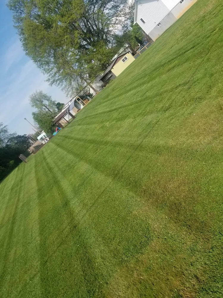 Trusted yard cleanup service in Bristol, TN by Jessee Bros Property Maintenance