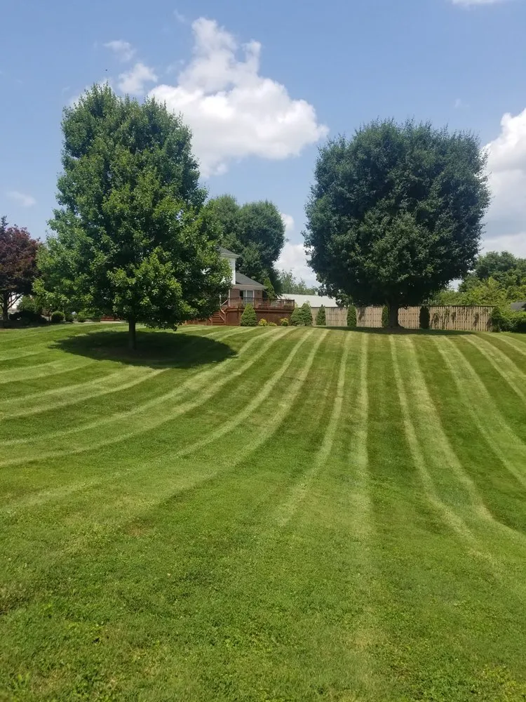 Local landscape installation in Bristol, TN by Jessee Bros Property Maintenance