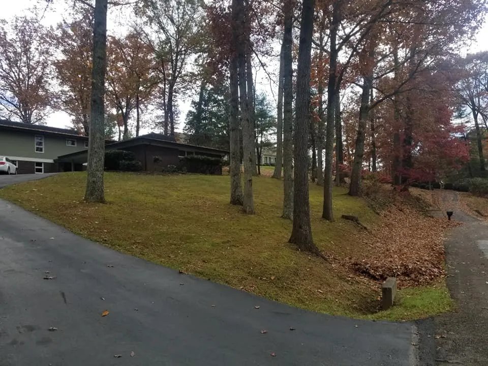 Affordable landscape installation for beautiful yards across Bristol, TN - Jessee Bros Property Maintenance