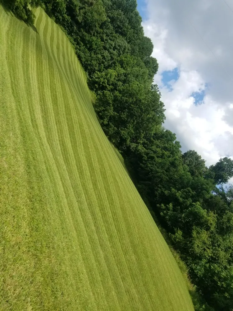 Reliable yard cleanup service for year-round maintenance across Bristol, TN - Jessee Bros Property Maintenance