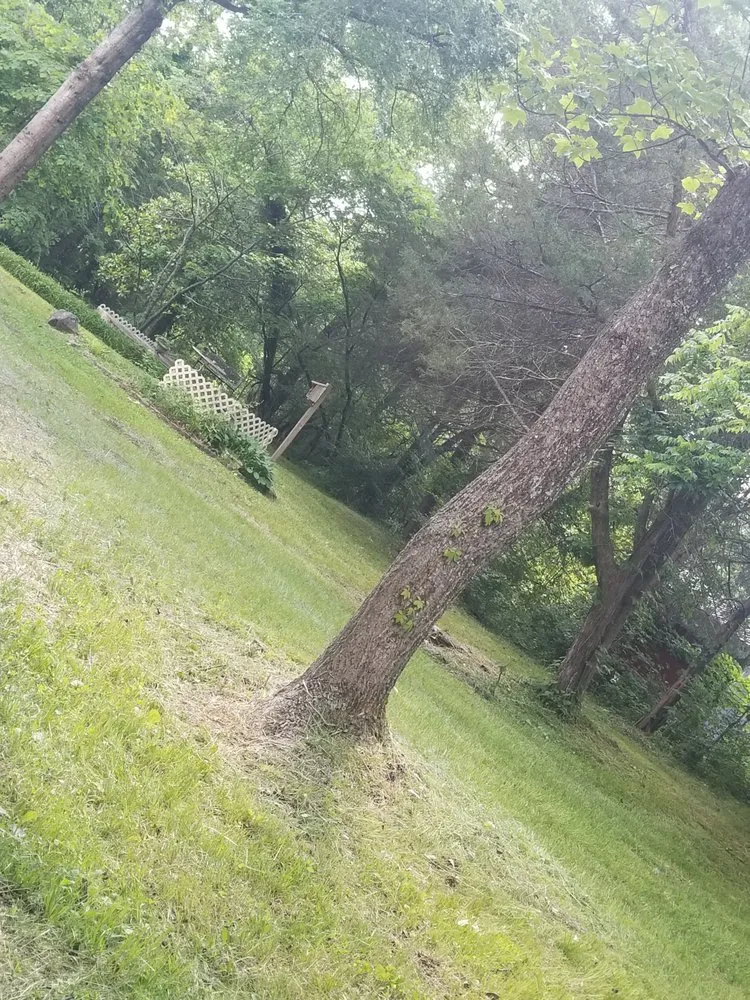 Expert landscaping services for outdoor upgrades across Bristol, TN - Jessee Bros Property Maintenance