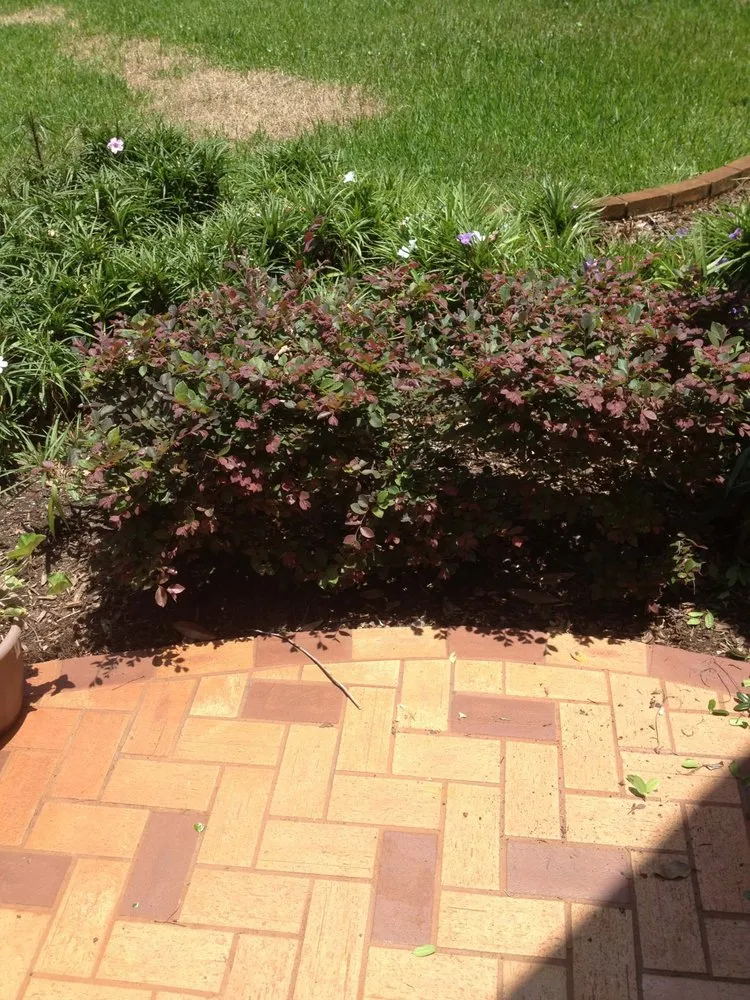 Reliable lawn care service in New Port Richey, FL - Jessehomes Landscaping & Grounds Maintenance