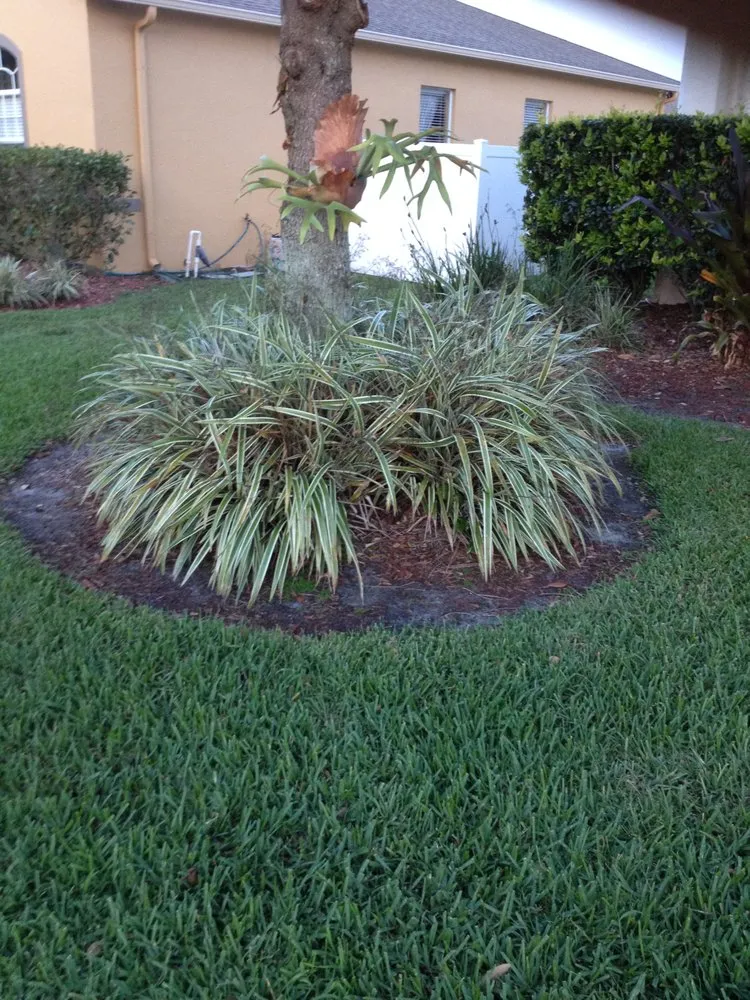 Trusted yard cleanup service experts serving New Port Richey, FL - Jessehomes Landscaping & Grounds Maintenance