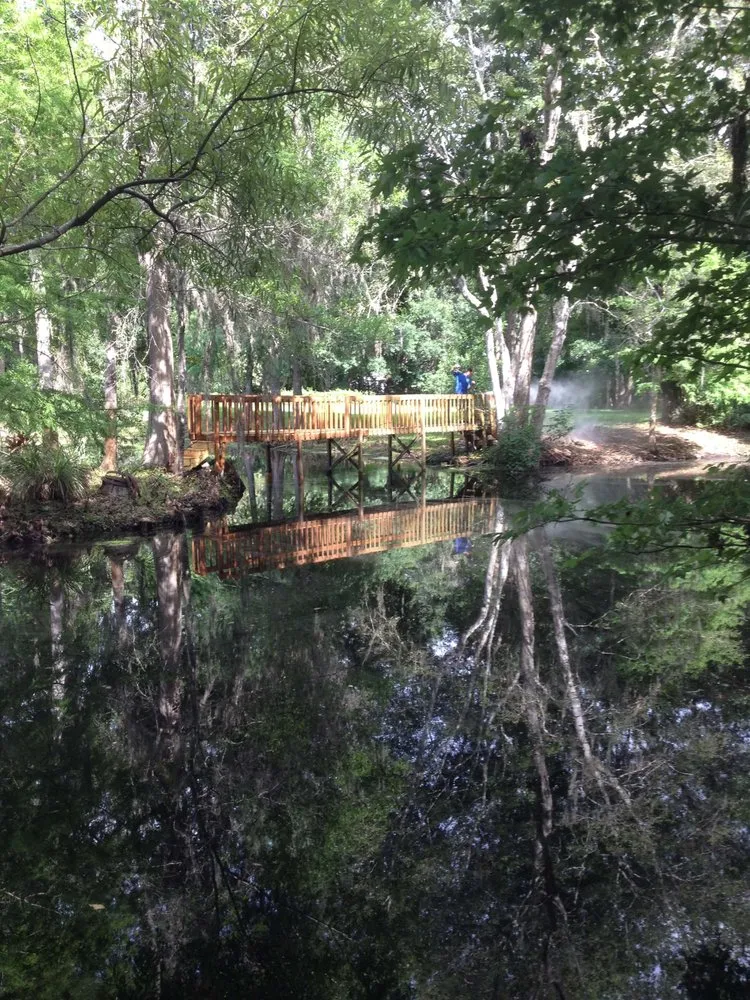 Expert yard maintenance for outdoor upgrades across New Port Richey, FL - Jessehomes Landscaping & Grounds Maintenance