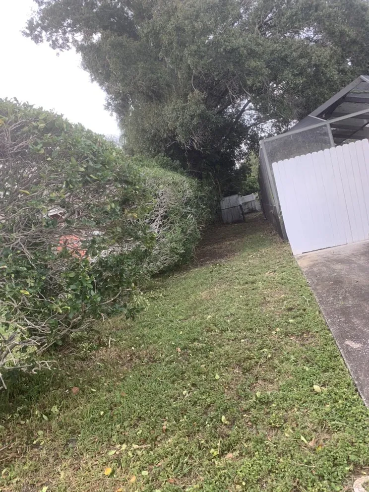 Affordable landscape design near you across New Port Richey, FL - Jessehomes Landscaping & Grounds Maintenance