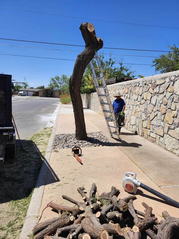 Expert residential landscaping in El Paso, TX by Jesses A-1 Tree Service