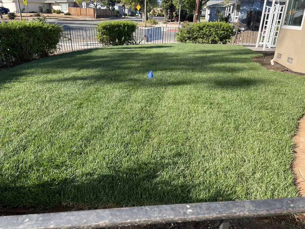 Expert garden landscaping for residential properties across Saratoga, CA - Jesse's General Landscaping